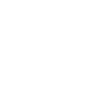 Image Video